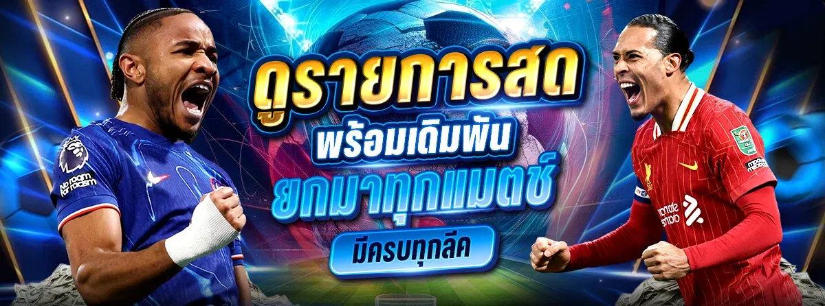 YPT168 แทงบอลออนไลน์ ครบทุกลีก อัตราต่อรองดี